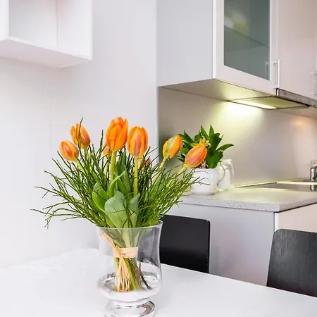 Appartement двухкомнатная в центре города Tallinn